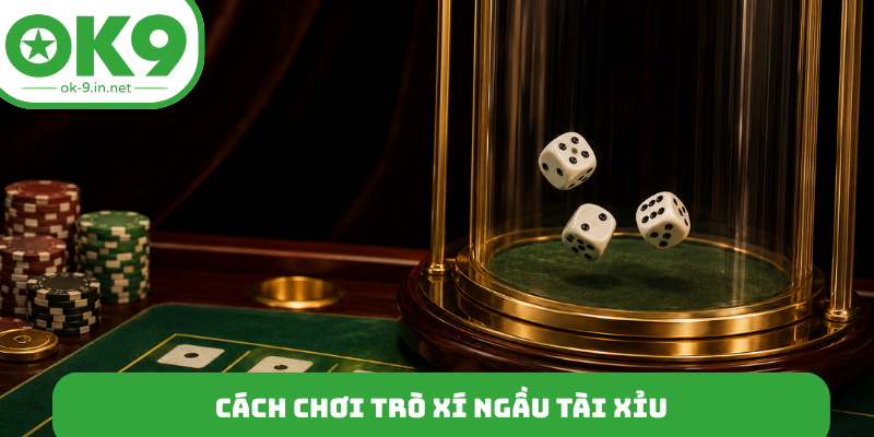 Cách chơi trò xí ngầu tài xỉu
