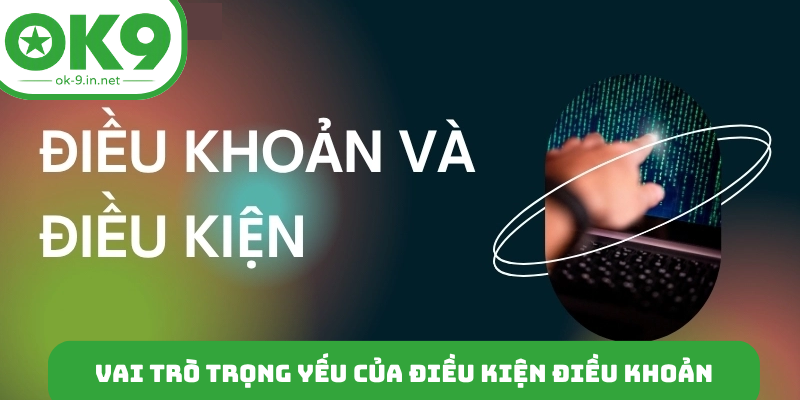 Vai trò trọng yếu của điều kiện điều khoản