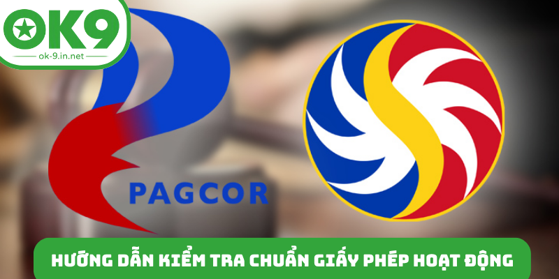 Hướng dẫn kiểm tra chuẩn giấy phép hoạt động