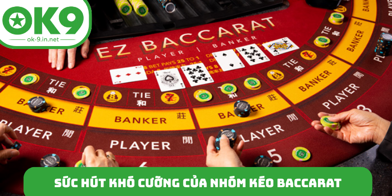 Sức hút khó cưỡng của nhóm kéo baccarat
